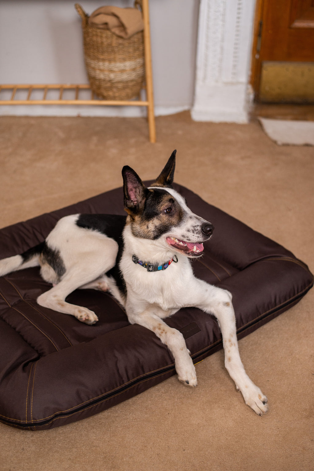 Chester & Lee | Waterproof Lounger Dog Bed Brown by Chester & Lee