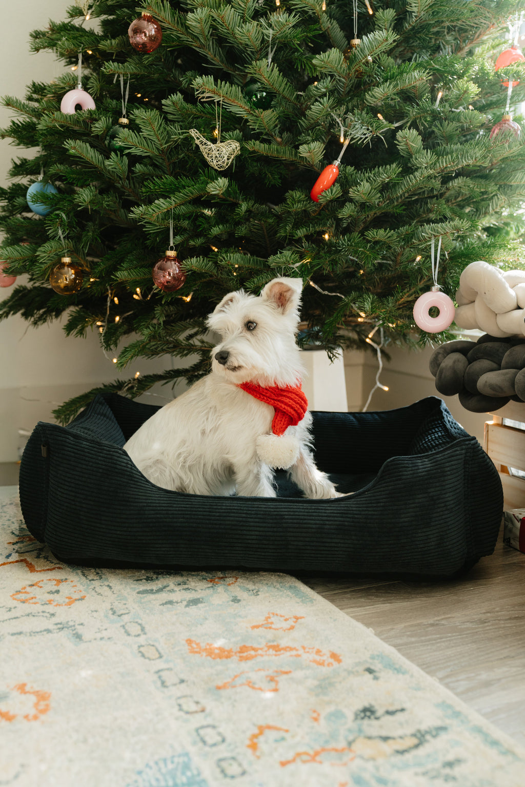 Chester & Lee | Fancy Corduroy Sleeper Dog Bed Graphite by Chester & Lee