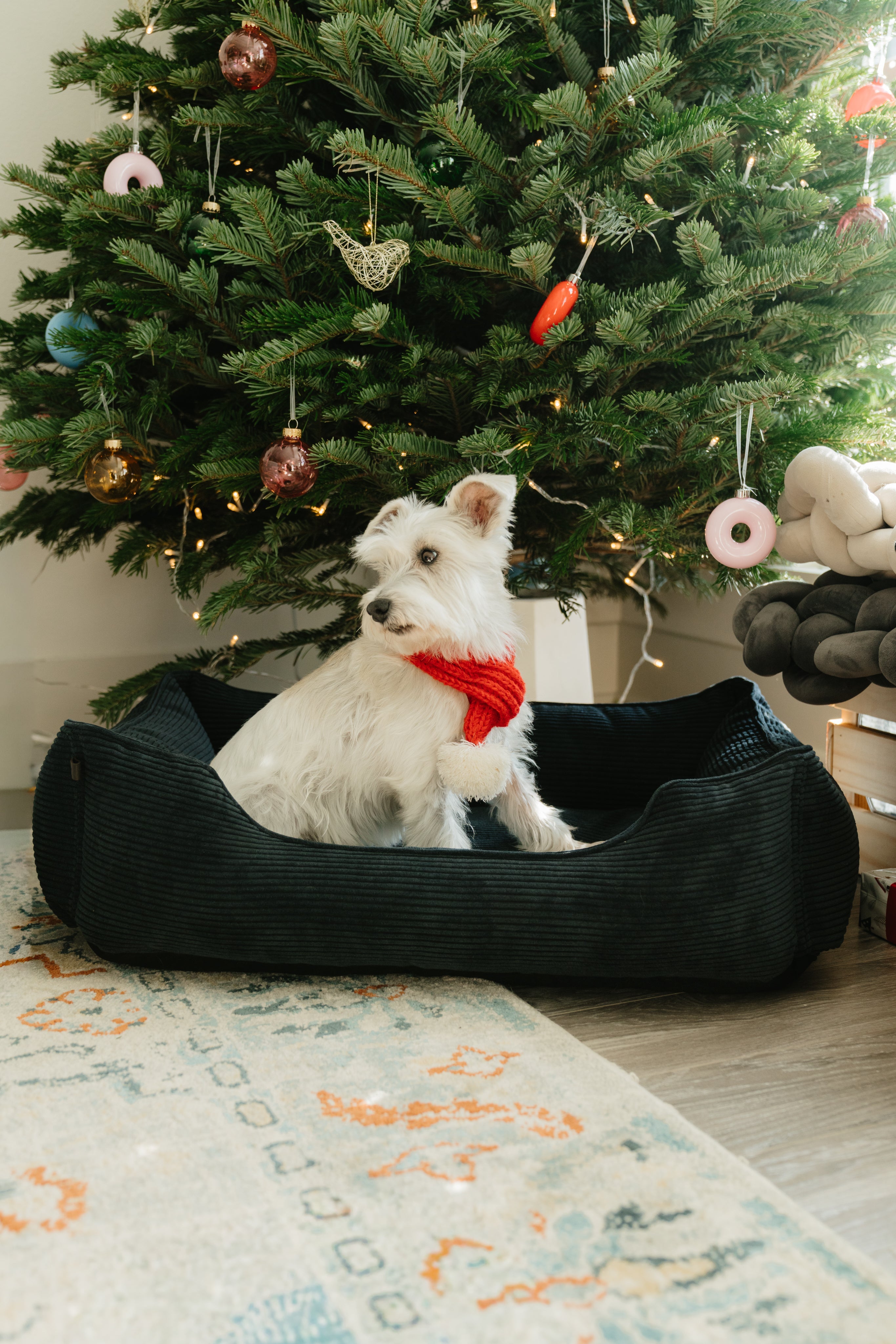 Chester & Lee | Fancy Corduroy Sleeper Dog Bed Graphite by Chester & Lee