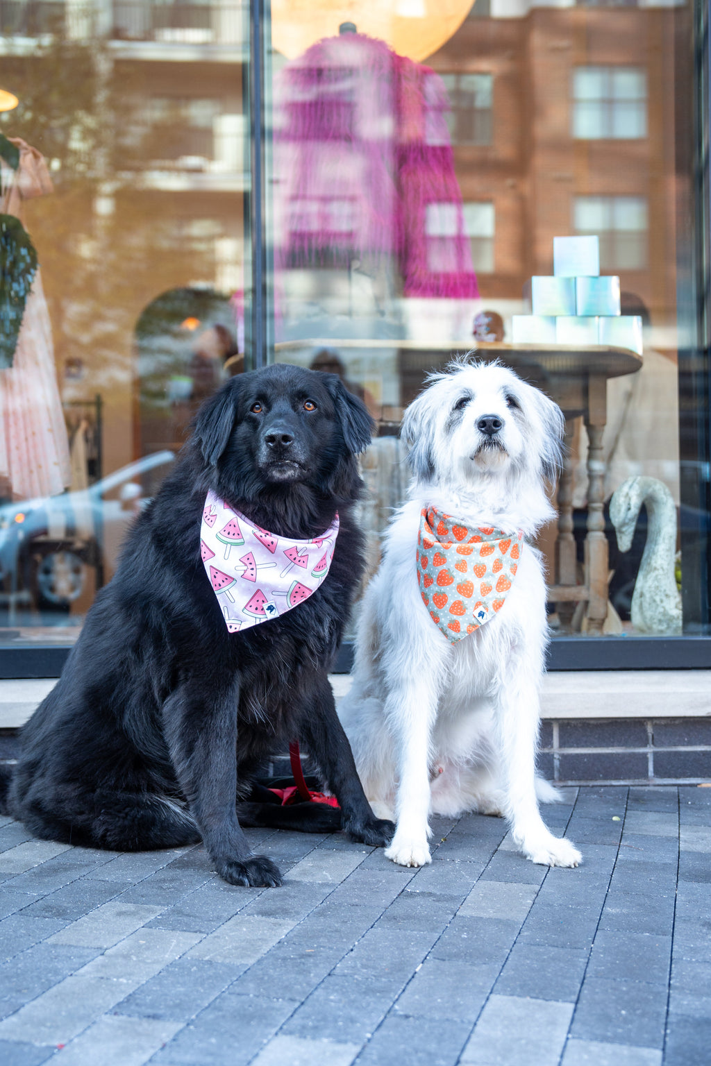 Watermelon & Strawberry Dog Bandana by Dog Bandana Co.