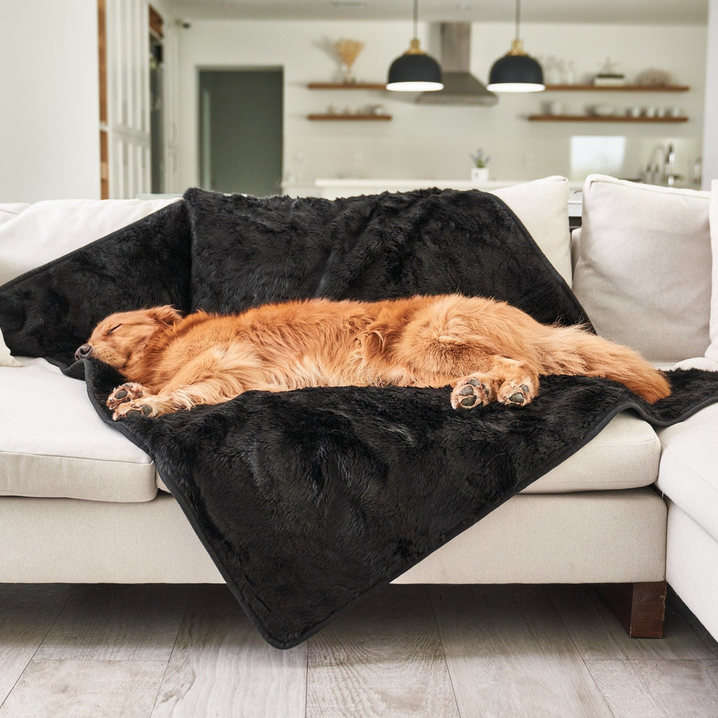 PupProtector™ Summer Short Fur Waterproof Throw Blanket - Midnight Black by Paw.com