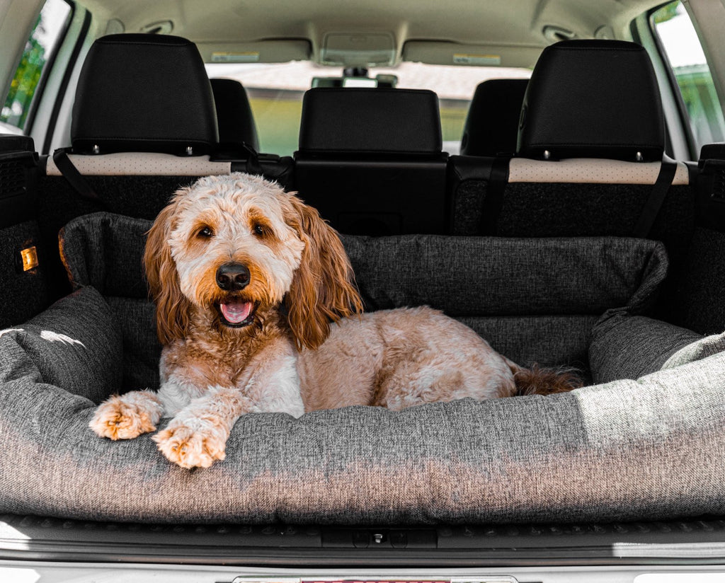 PupProtector™ Memory Foam Dog Car Bed by Paw.com