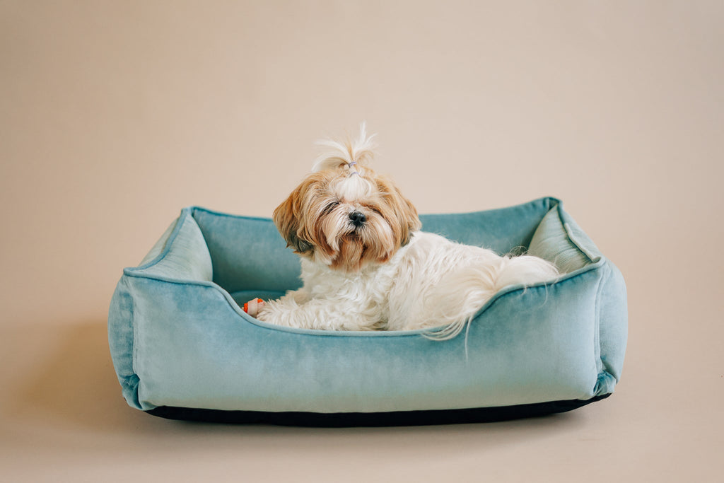 Chester & Lee | Vibrant Velvet Sleeper Dog Bed Tiffany by Chester & Lee
