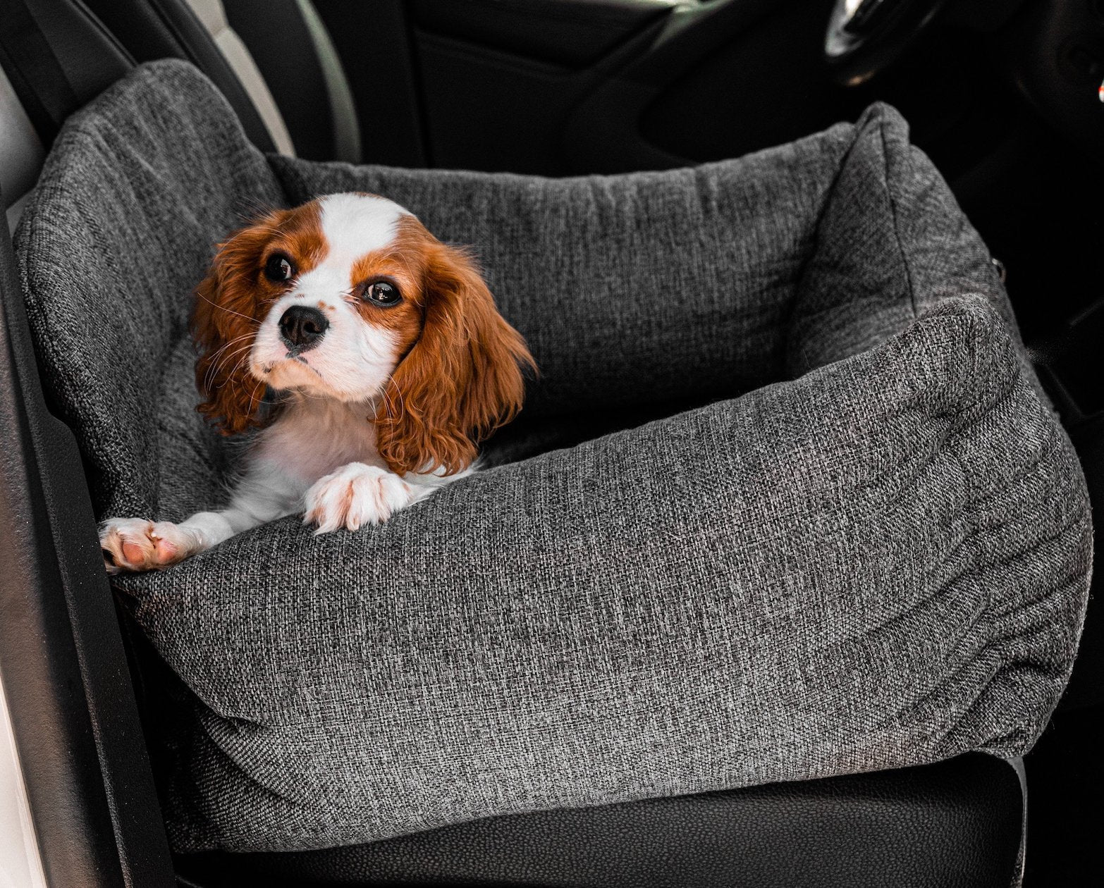 PupProtector™ Memory Foam Dog Car Bed by Paw.com