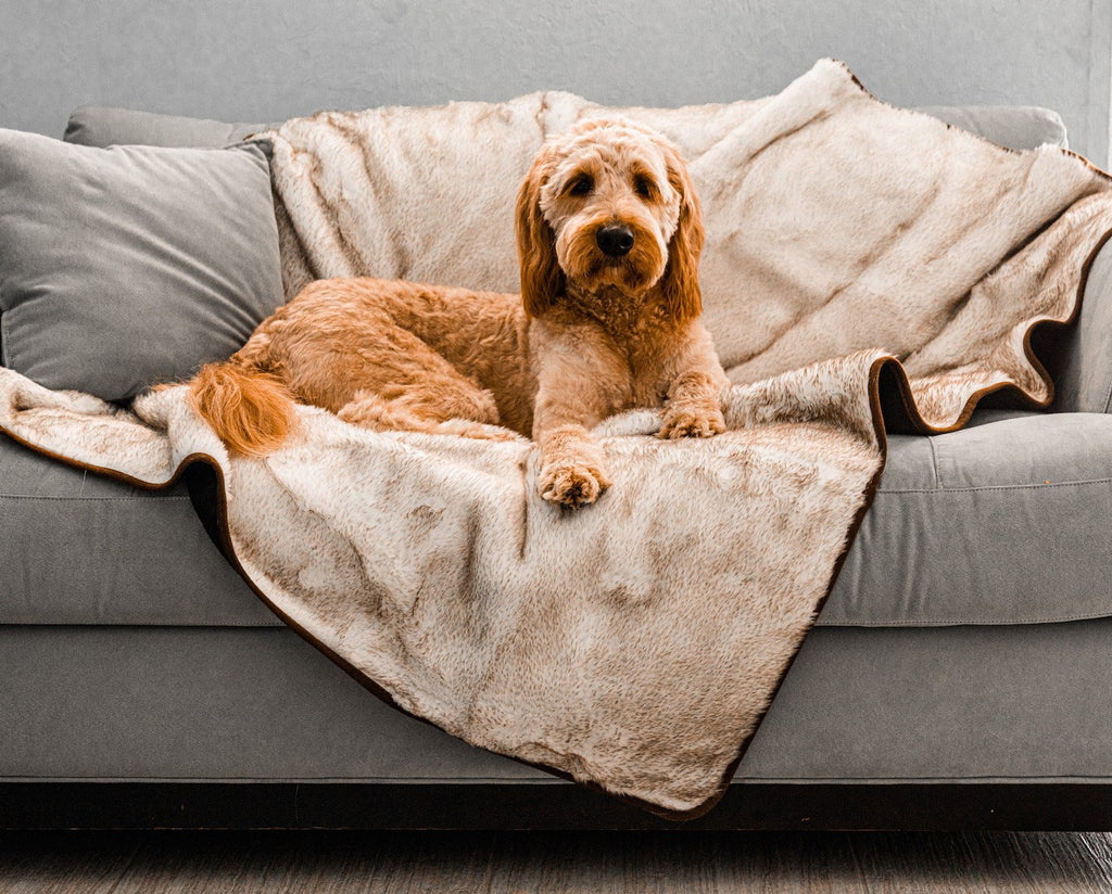 PupProtector™ Summer Short Fur Waterproof Throw Blanket - White with Brown Accents by Paw.com