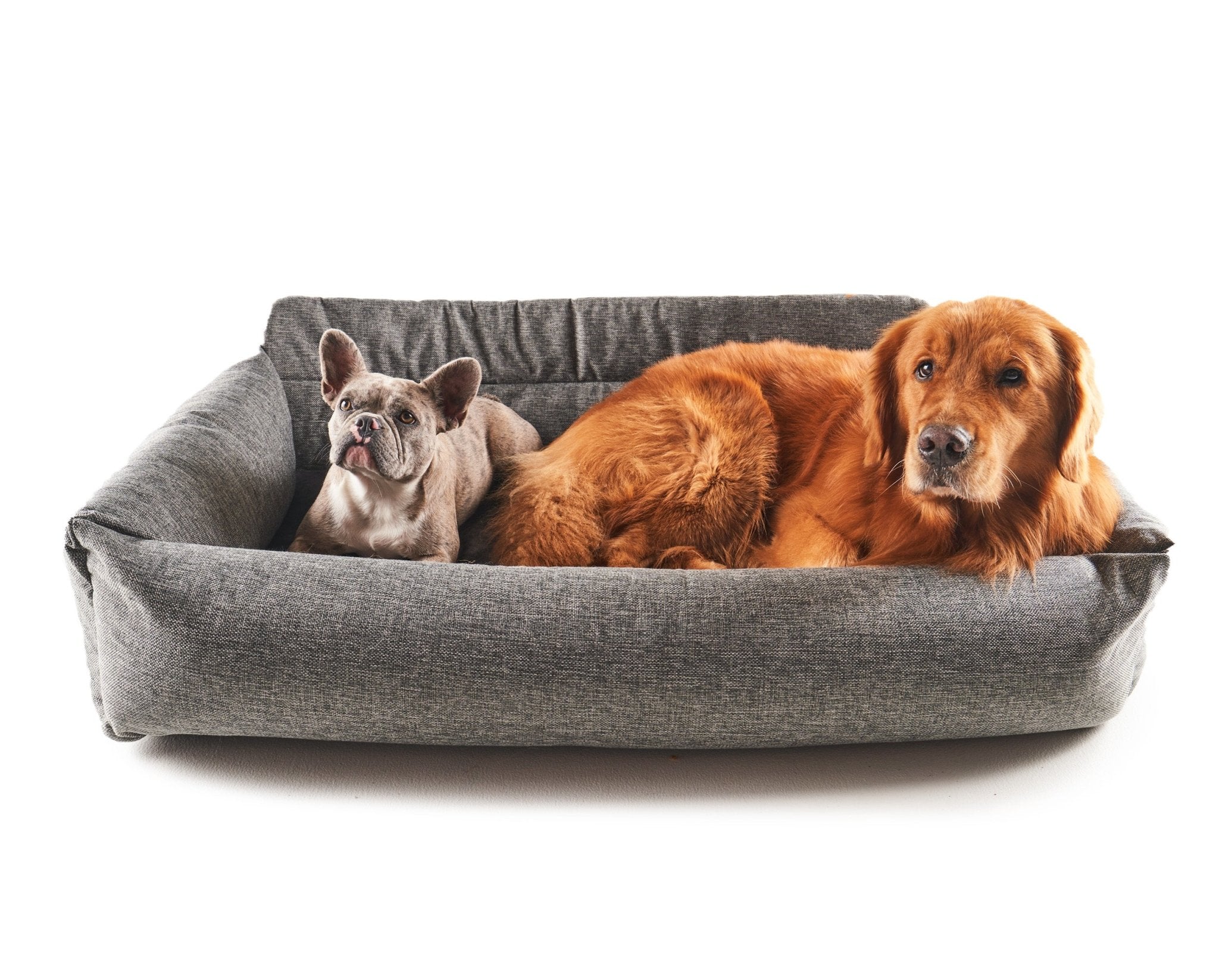 PupProtector™ Memory Foam Dog Car Bed by Paw.com