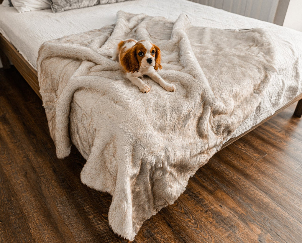 PupProtector™ Summer Short Fur Waterproof Throw Blanket - White with Brown Accents by Paw.com