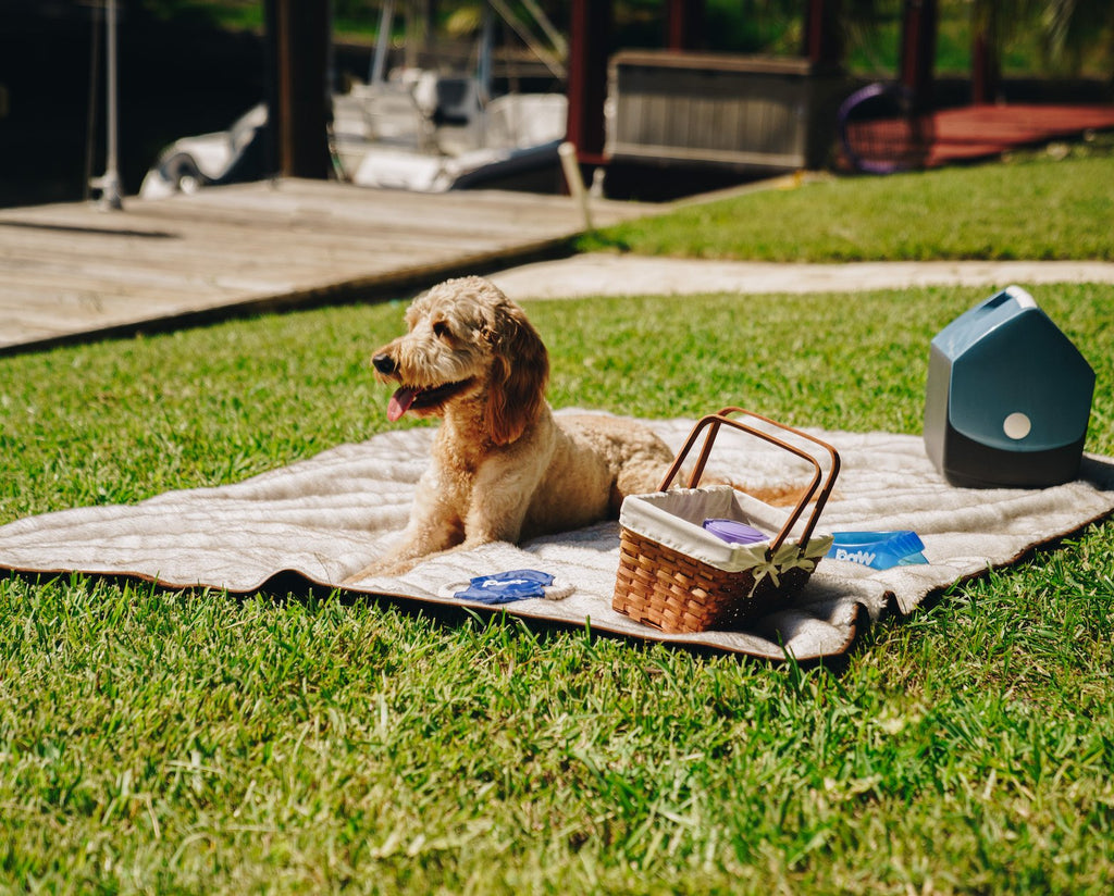 PupProtector™ Summer Short Fur Waterproof Throw Blanket - White with Brown Accents by Paw.com
