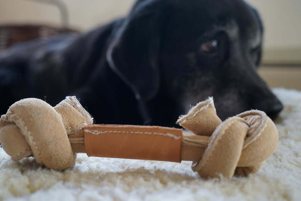 Huggle-Hide® Natural Leather Bone Dog Toy, 3 Pack by HuggleHounds