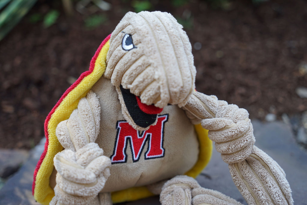 NCAA University of Maryland - Testudo the Terrapin Knottie® Plush Dog Toy by HuggleHounds
