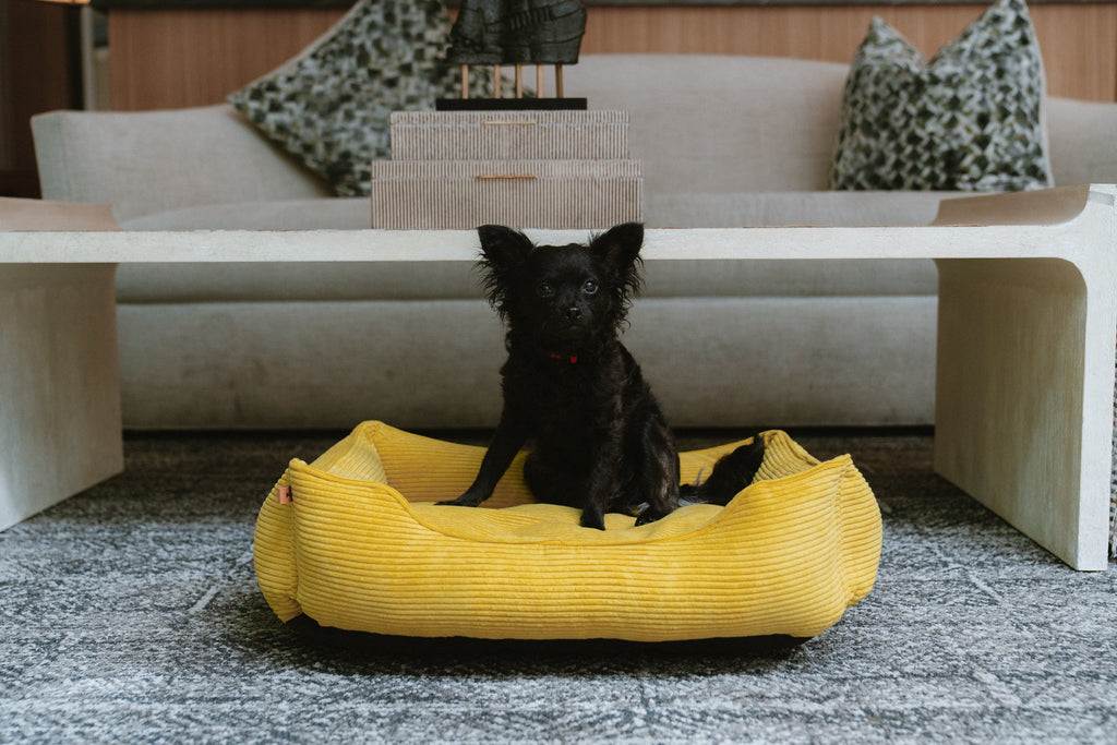 Chester & Lee | Fancy Corduroy Sleeper Dog Bed Sunny Yellow by Chester & Lee