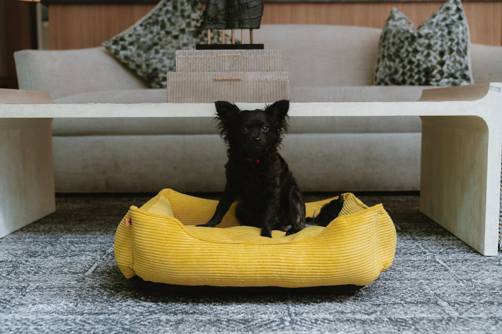 Chester & Lee | Fancy Corduroy Sleeper Dog Bed Sunny Yellow by Chester & Lee