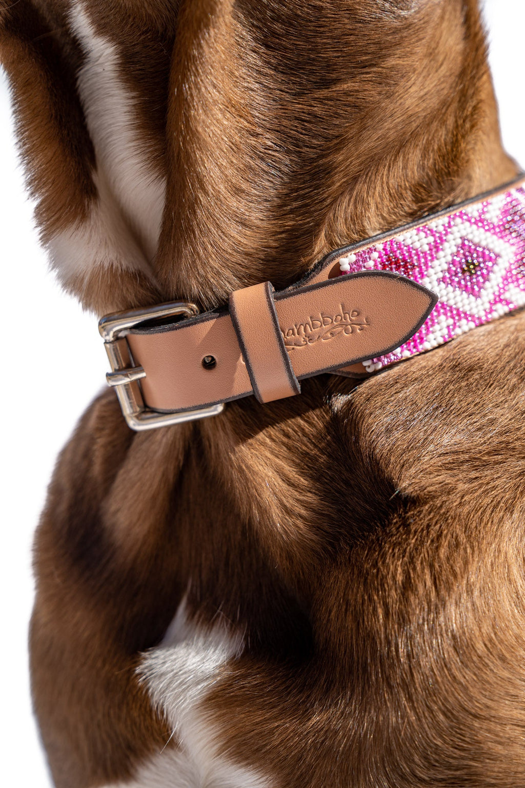 Paris Sambboho dog collar (with center D-ring) by Sambboho