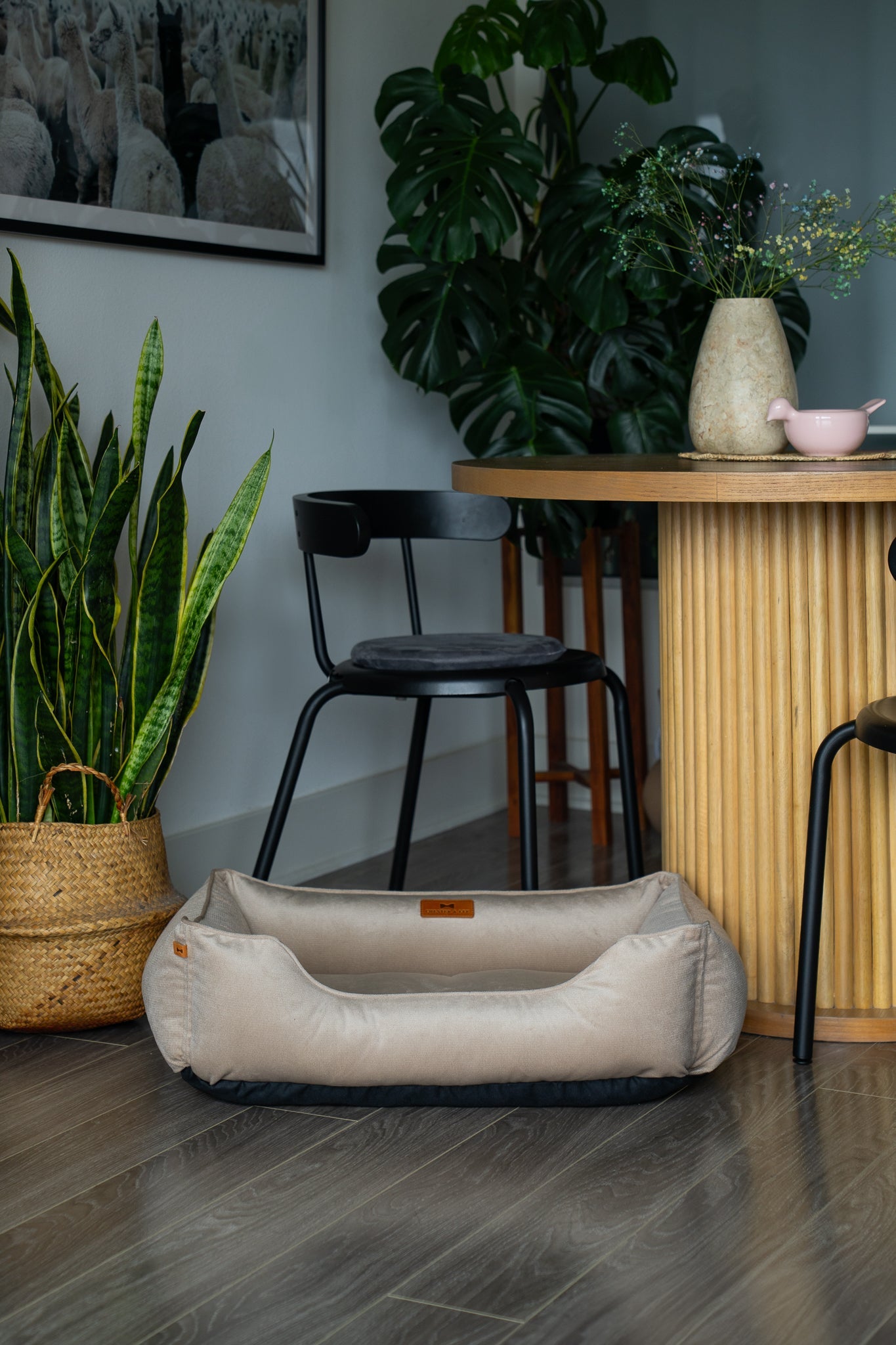 Chester & Lee | Classic Velvet Sleeper Dog Bed Beige by Chester & Lee