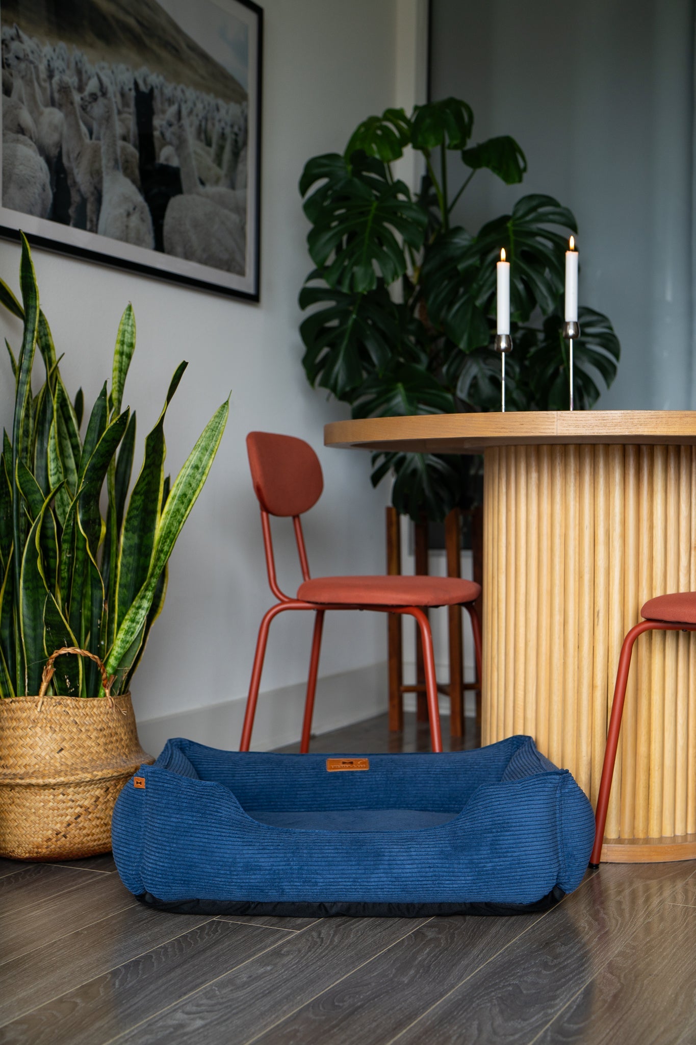 Chester & Lee | Fancy Corduroy Sleeper Dog Bed Blue by Chester & Lee