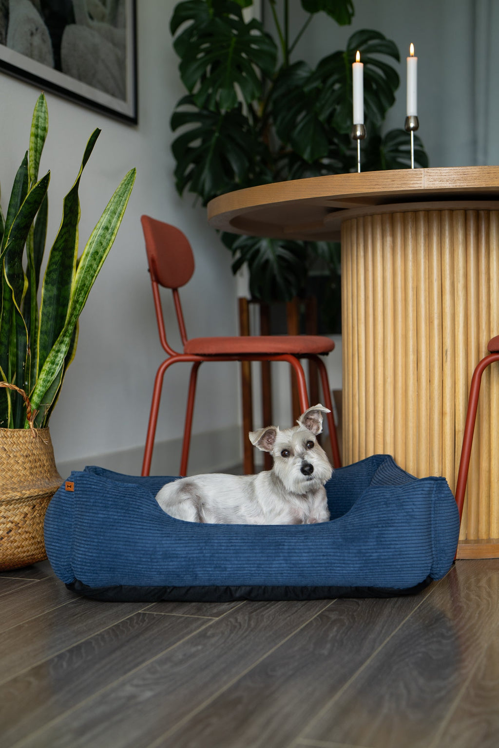 Chester & Lee | Fancy Corduroy Sleeper Dog Bed by Chester & Lee