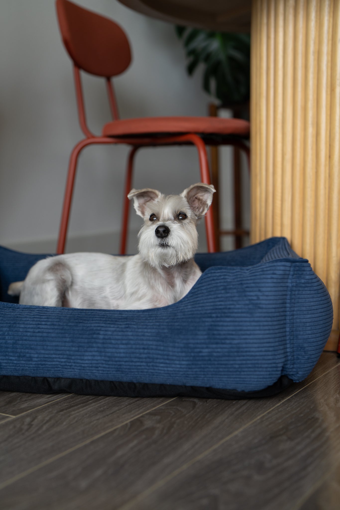 Chester & Lee | Fancy Corduroy Sleeper Dog Bed by Chester & Lee