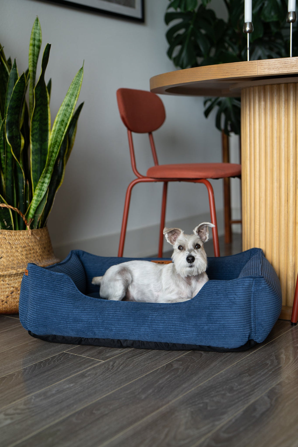 Chester & Lee | Fancy Corduroy Sleeper Dog Bed by Chester & Lee