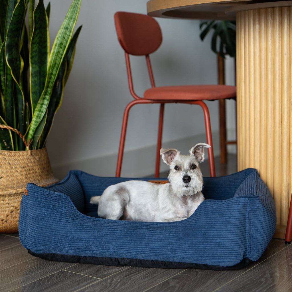 Chester & Lee | Fancy Corduroy Sleeper Dog Bed Blue by Chester & Lee