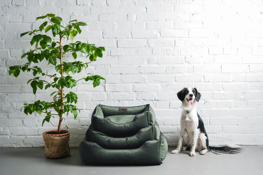 Chester & Lee | Classic Velvet Sleeper Dog Bed Green by Chester & Lee