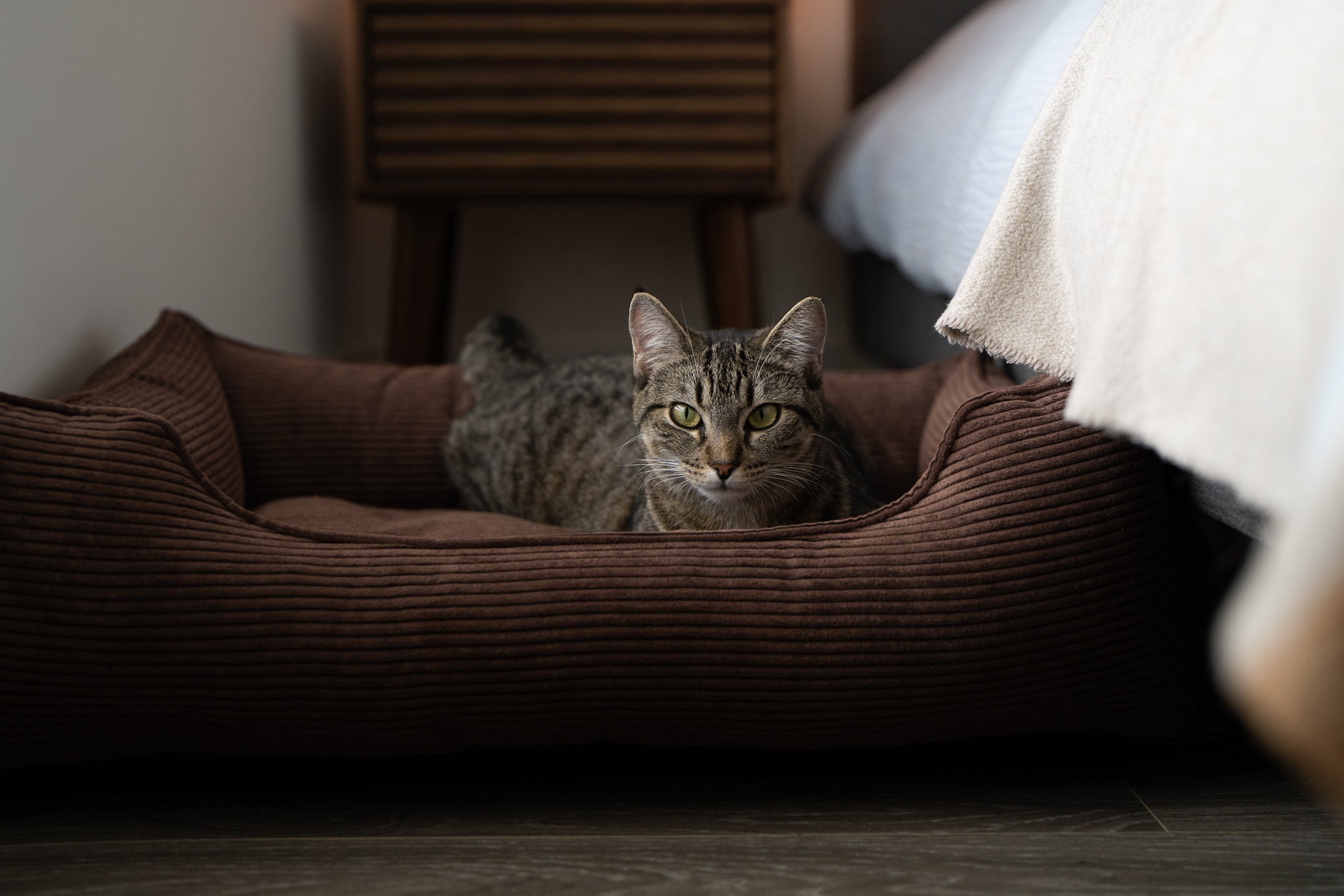 Chester & Lee | Fancy Corduroy Sleeper Dog Bed Brown by Chester & Lee
