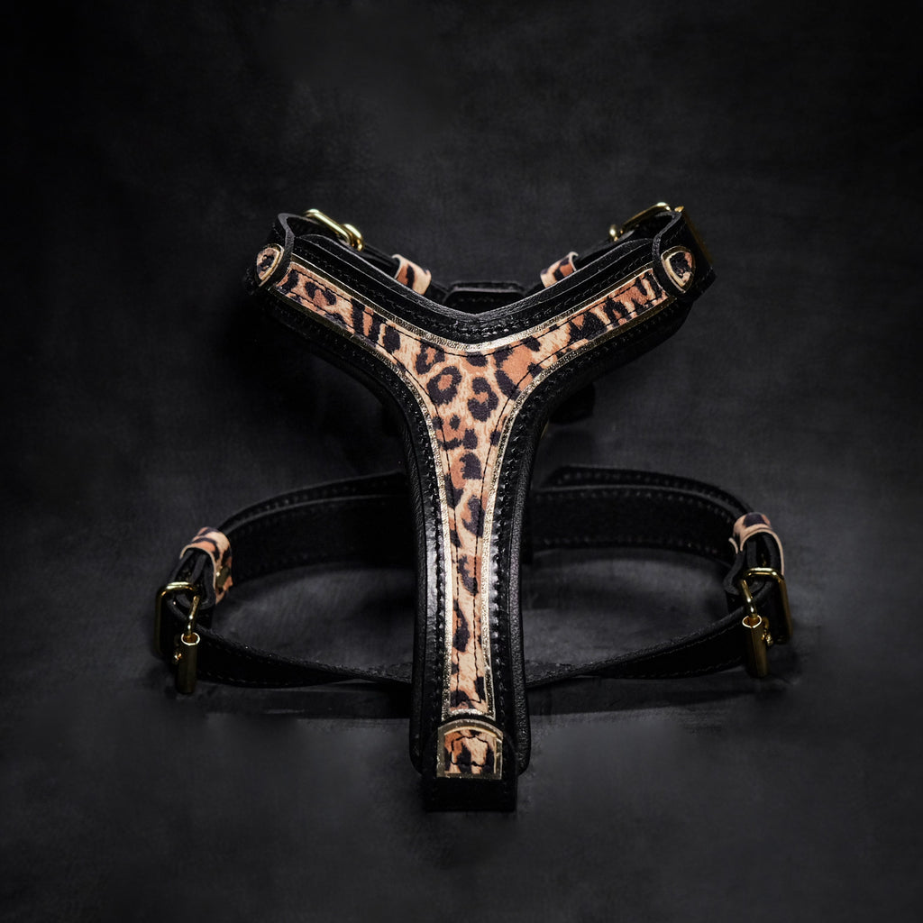 The Leopard Harness Small to Medium Size by Bestia Dog Gear