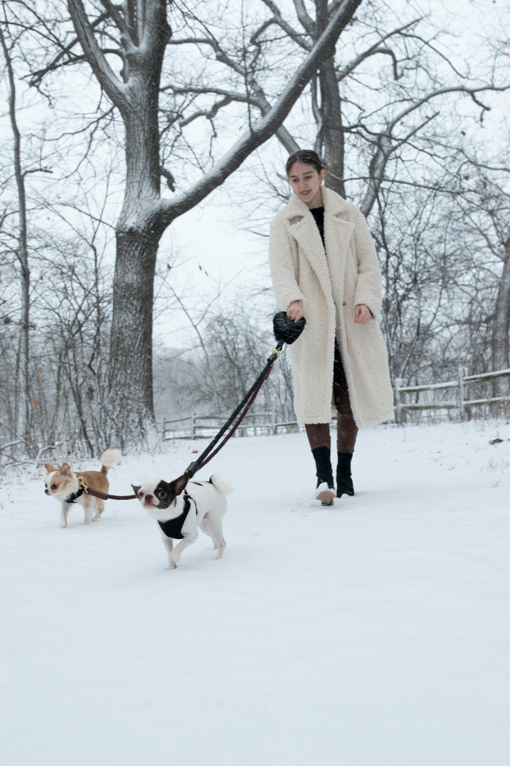 Bundle Shearling Fur Grip + Rope Leash for Dogs by Bonne et Filou
