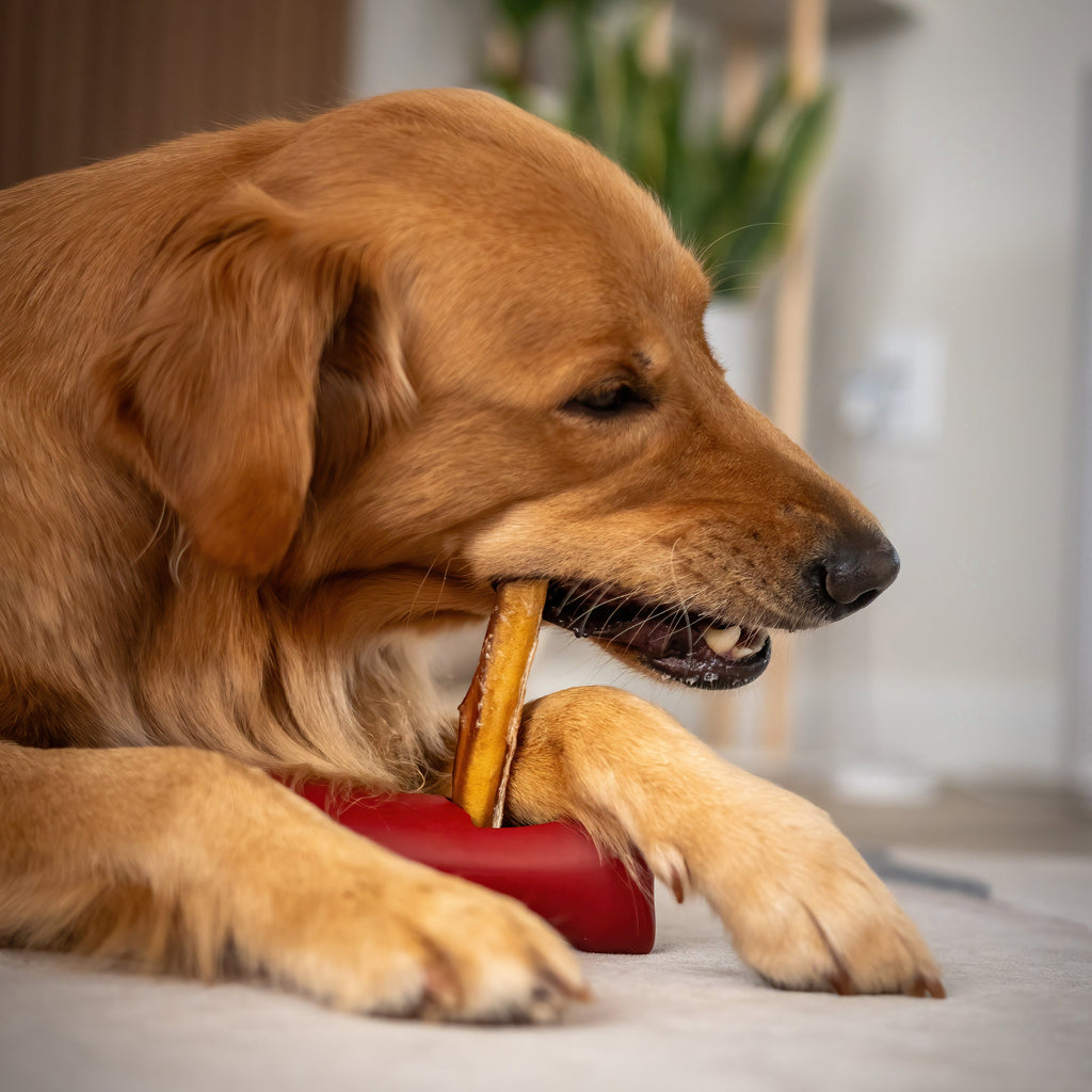 Bully Stick Safety Holder by Bully Bunches