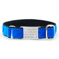 1″ Velvet Jingle Free Tag Dog Collar by 2 Hounds Design