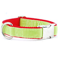 Lime Green/Red Holiday Velvet Essential Martingale Dog Collar by 2 Hounds Design