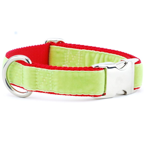 Lime Green/Red Holiday Velvet Essential Martingale Dog Collar by 2 Hounds Design