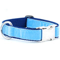 Light Blue/Navy Holiday Velvet Essential Dog Collar by 2 Hounds Design
