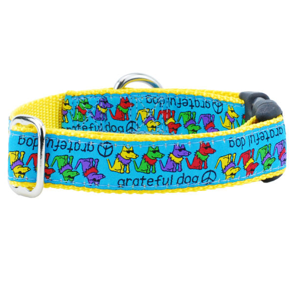 1″ Grateful Dog Teddy The Dog Essential Dog Collar by 2 Hounds Design