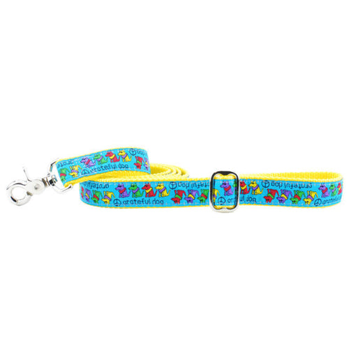 1″ Grateful Dog Teddy The Dog 5ft Ribbon Dog Leash by 2 Hounds Design