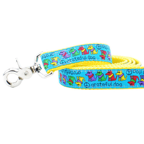 1″ Grateful Dog Teddy The Dog 5ft Ribbon Dog Leash by 2 Hounds Design