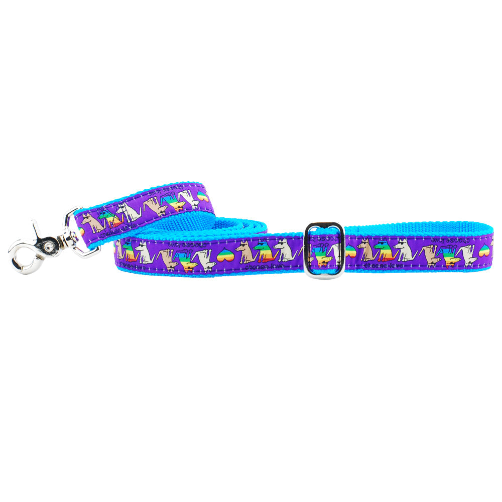 1″ Choose Love Teddy The Dog Ribbon Dog Leash by 2 Hounds Design