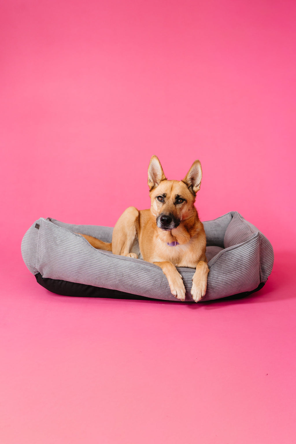 Chester & Lee | Fancy Corduroy Sleeper Dog Bed Gray by Chester & Lee