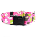 Daisy Dot Dog Collar – EarthStyle by 2 Hounds Design