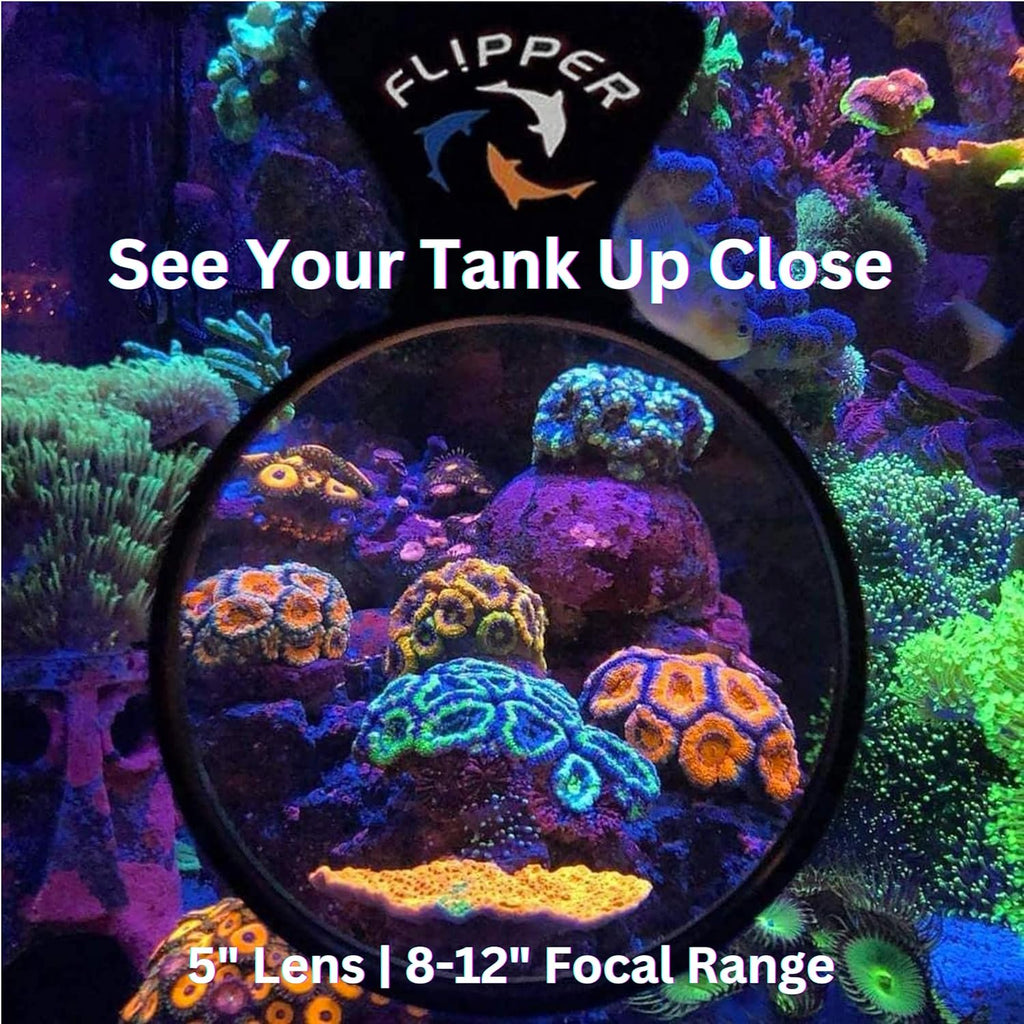 DeepSee Viewer Black Max 5" - Orange Filter by Flipper Aquarium Products
