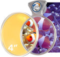 DeepSee Viewer Clear 4" - Orange Filter by Flipper Aquarium Products