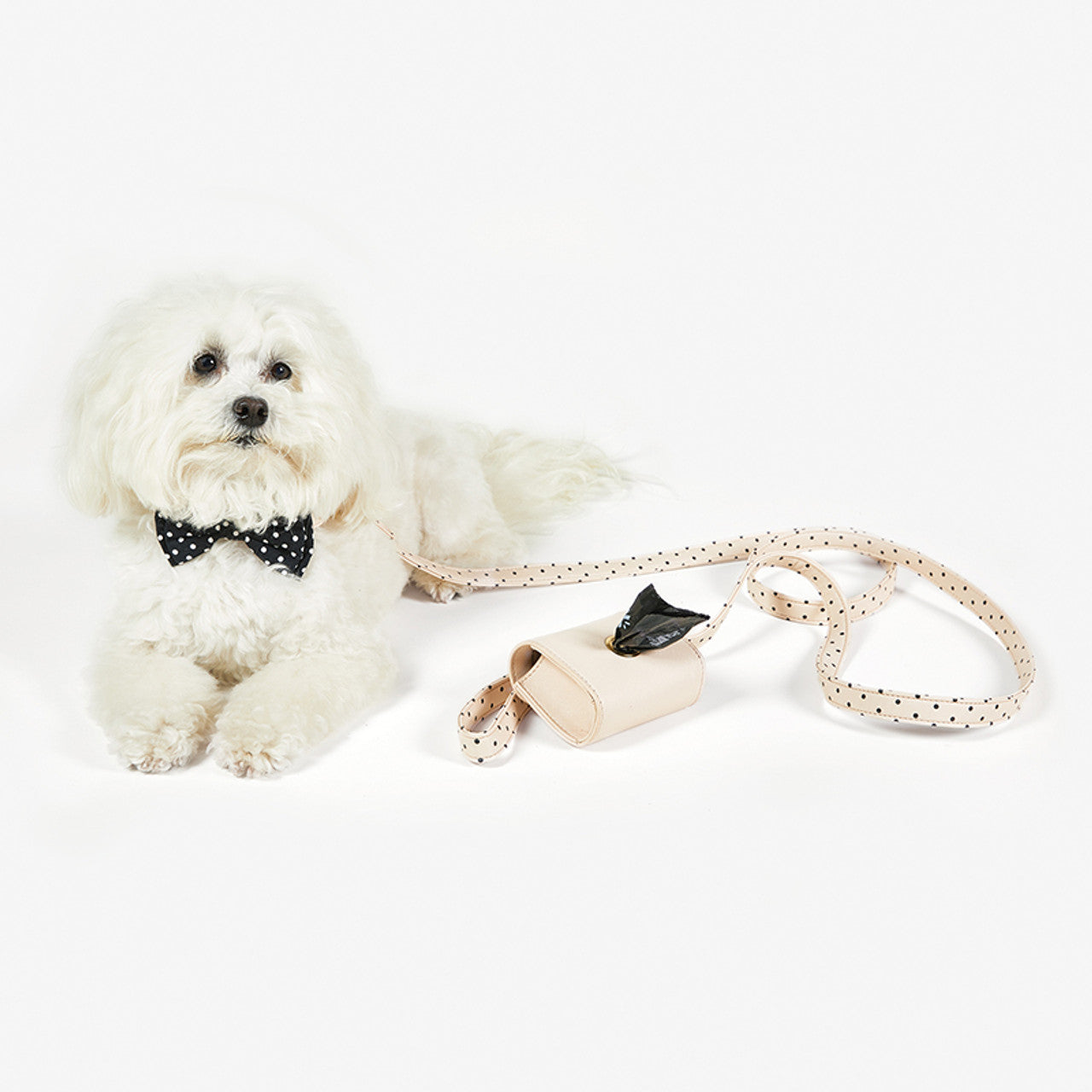 Dog Leash in Blush Pink Polka Dot | 72" L | Faux Saffiano Leather by The Bullish Store