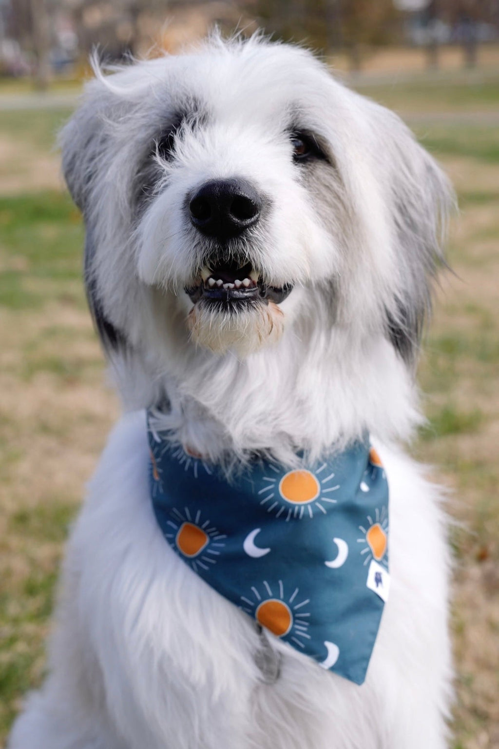 Blue Moon & Lightning Reversible Dog Bandana by Dog Bandana Co.