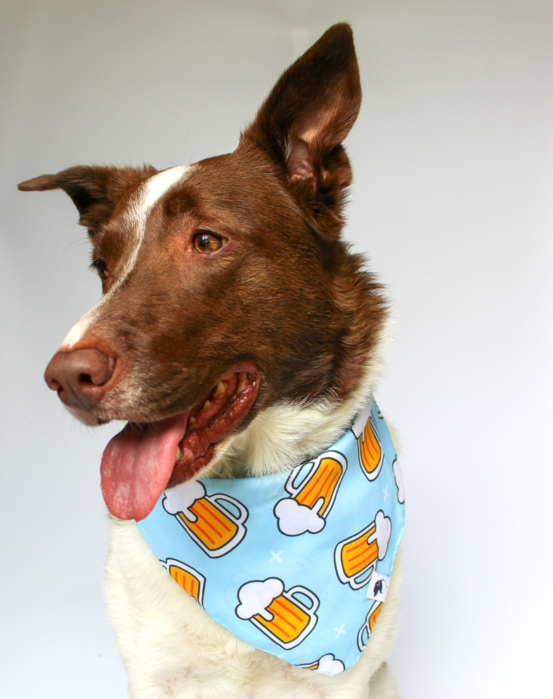 Cheers and Beers Reversible Dog Bandana by Dog Bandana Co.