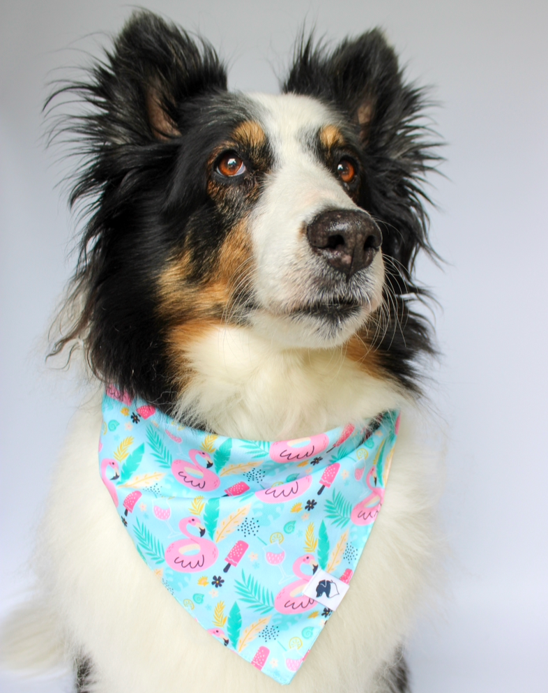 Summer Beach Reversible Dog Bandana by Dog Bandana Co.