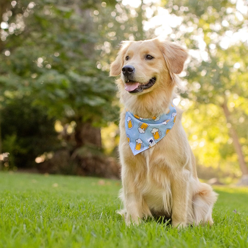 Cheers and Beers Reversible Dog Bandana by Dog Bandana Co.