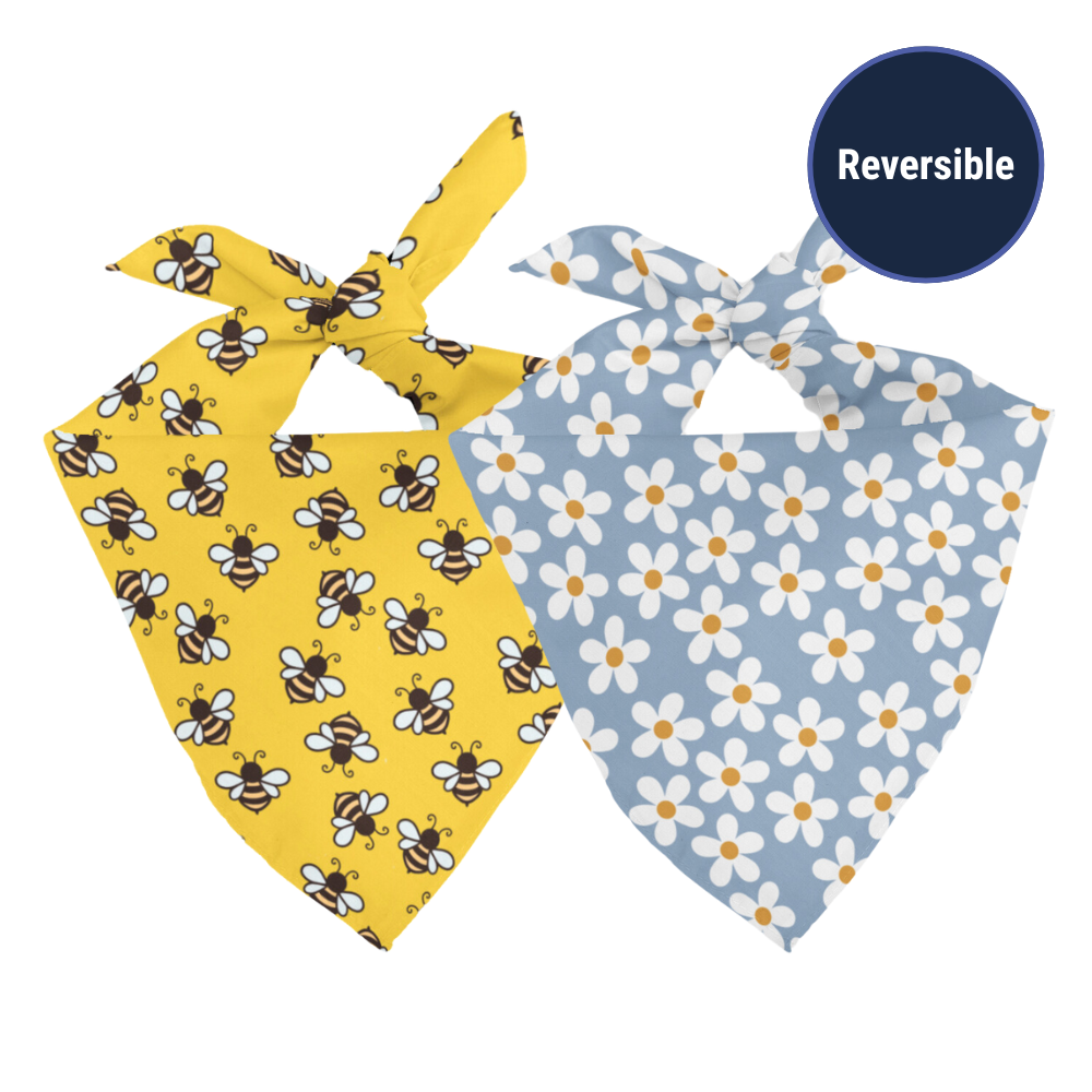 Bees & Daisy Reversible Dog Bandana & Matching Scrunchie Set by Dog Bandana Co.