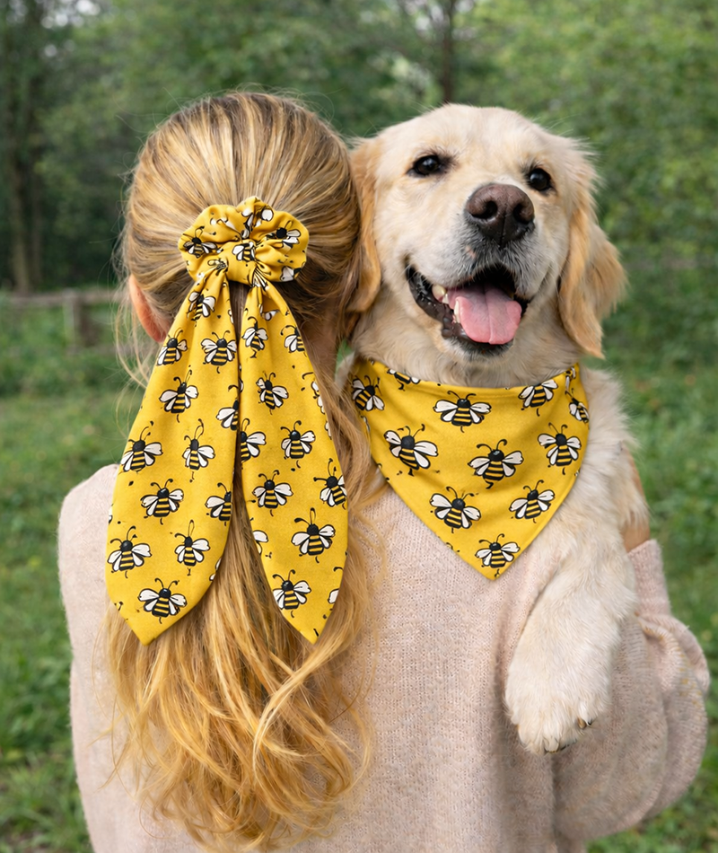 Bees & Daisy Reversible Dog Bandana & Matching Scrunchie Set by Dog Bandana Co.
