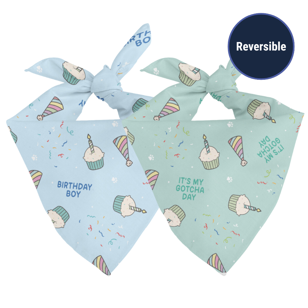 Birthday Boy & Gotcha Day Reversible Dog Bandana by Dog Bandana Co.