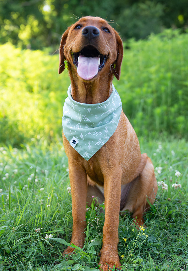 Camping & Smores Reversible Dog Bandana by Dog Bandana Co.