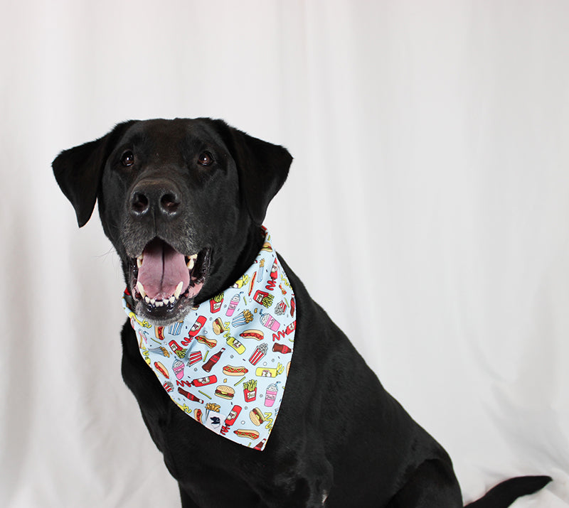 Pizza & Food Reversible Dog Bandana by Dog Bandana Co.